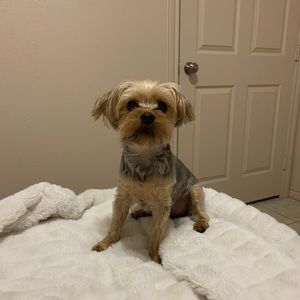 Meet your Posher, Yumi